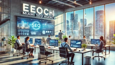 egochi miami seo agency